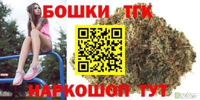 спиды Дубна