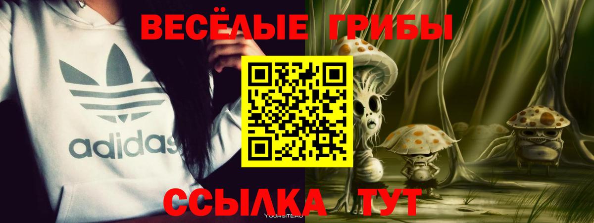 Псилоцибиновые грибы мицелий  Вход с VPN  Менделеевск 